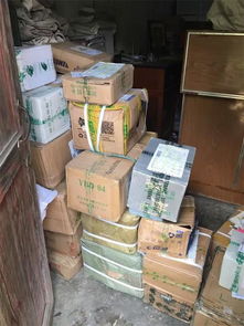 張金寶攜金財咨詢踐行社會責任，共筑鄉村教育未來——記“鄉村學校圖書室手拉手行動”