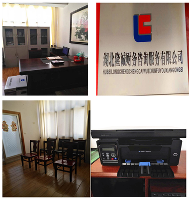 湖北隆誠(chéng)財(cái)務(wù)咨詢服務(wù) 專(zhuān)業(yè)賦能，助力企業(yè)穩(wěn)健發(fā)展